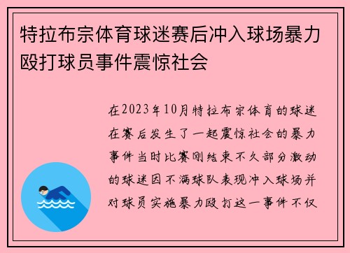 特拉布宗体育球迷赛后冲入球场暴力殴打球员事件震惊社会